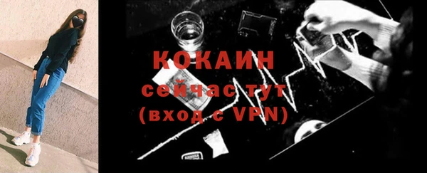 твердый Покачи