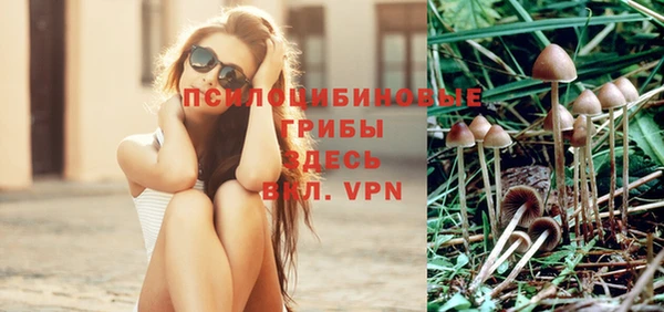 бошки Приозерск