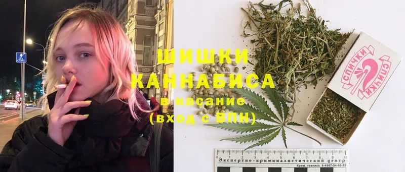 mega рабочий сайт  цены наркотик  Козьмодемьянск  Канабис OG Kush 